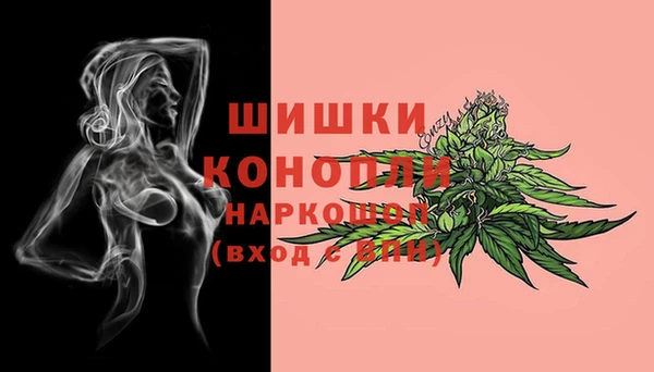 тгк Майский