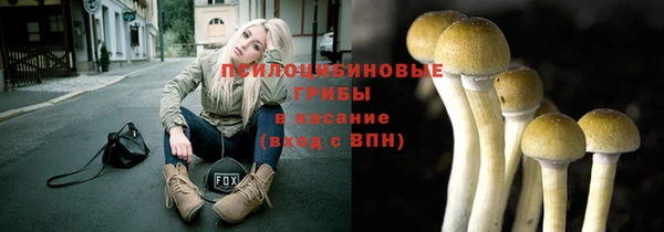 тгк Майский