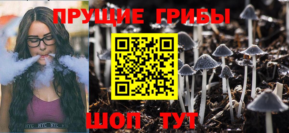 Псилоцибиновые грибы Psilocybe  Дзержинск 