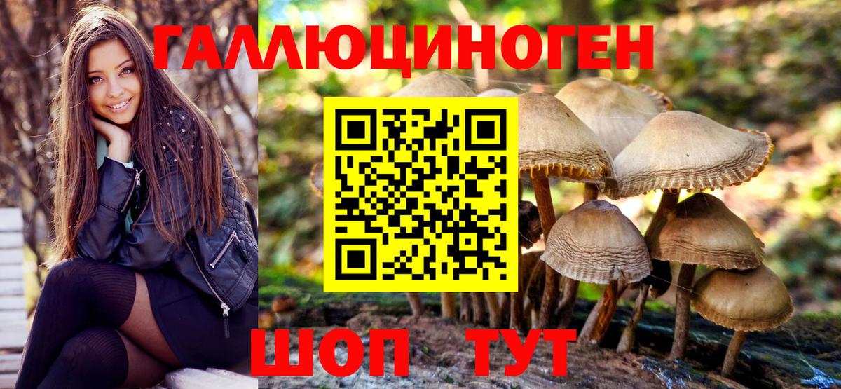 Псилоцибиновые грибы ЛСД Дзержинск
